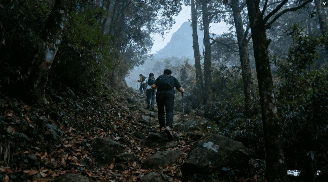 小火箭加速器黑色：背后隐私与安全隐患